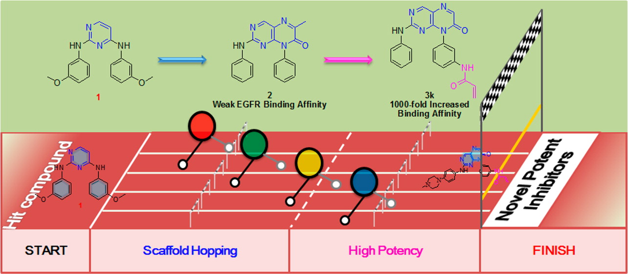 Discovery of Inhibitors targeting EGFR Kinase T790M/L858R mutant